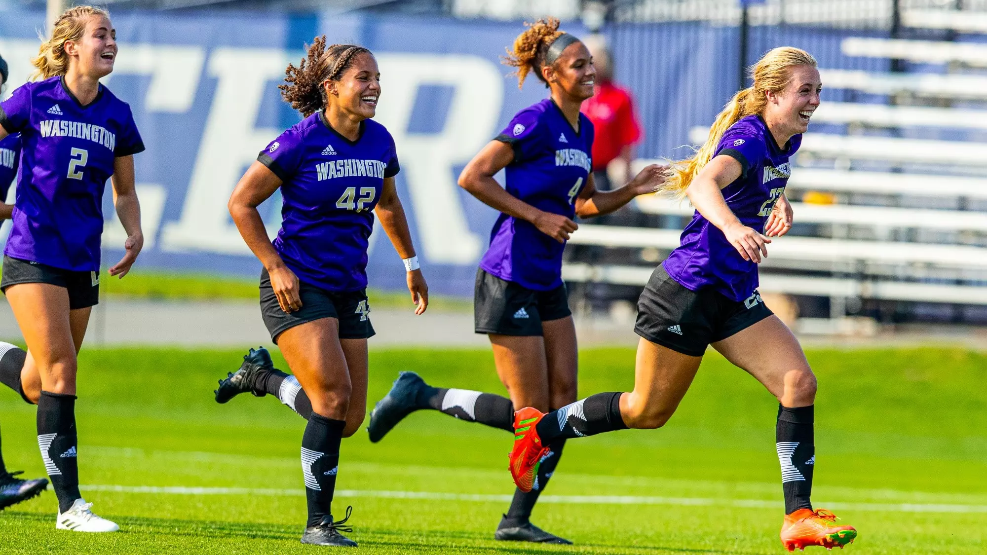 也彰显了球 也彰显了球