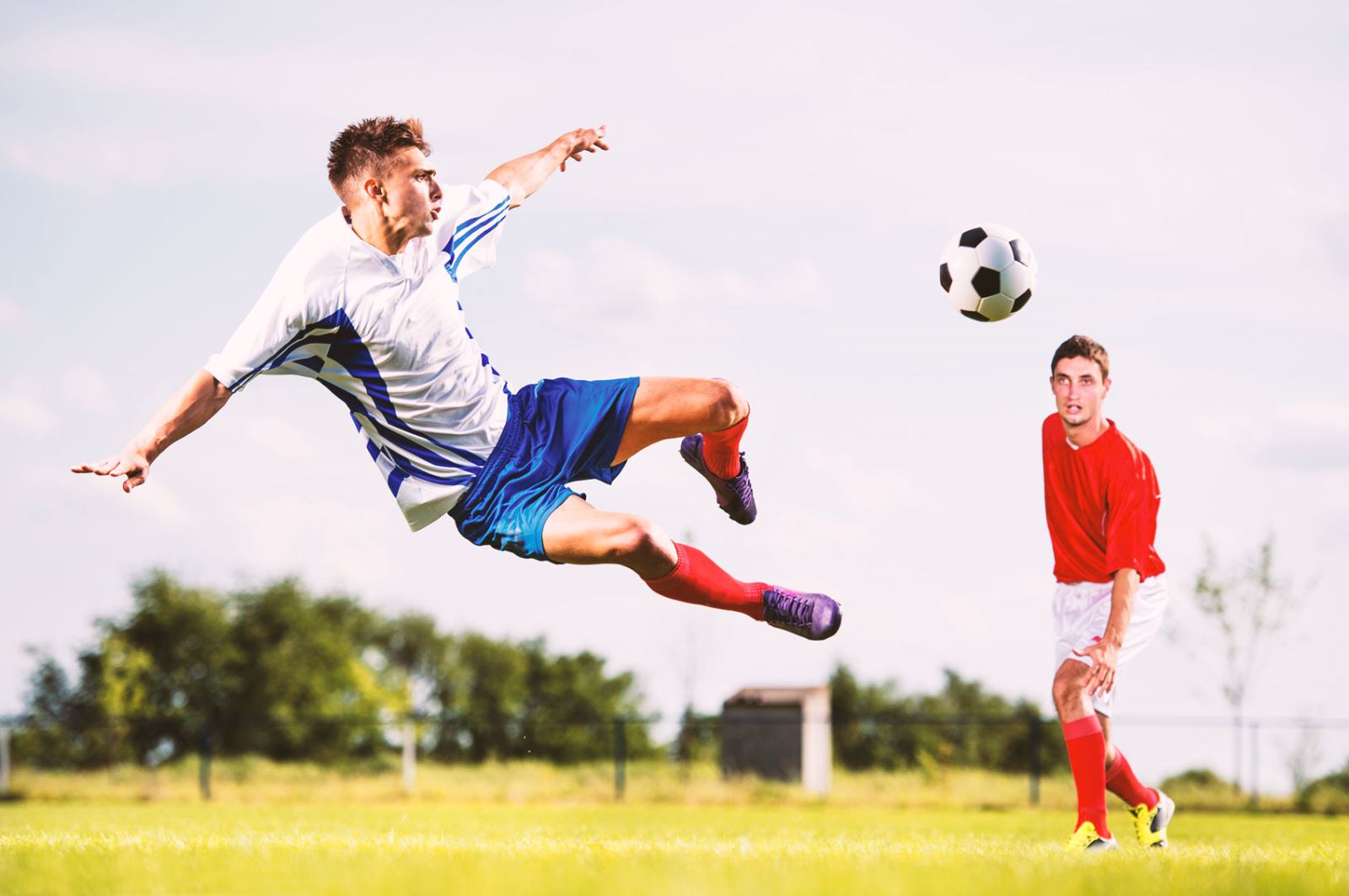 他并不仅仅 他并不仅仅